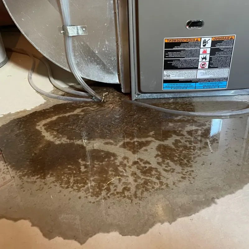 Pipe Burst and Leak Restoration in Mount Washington, KY