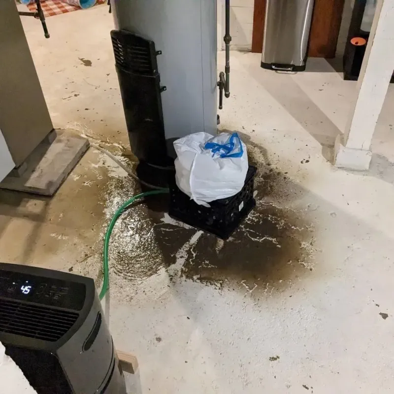Sewage Backup Cleanup Service in Mount Washington, KY